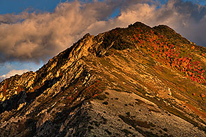 Fall Colors by Salt Lake City, Utah