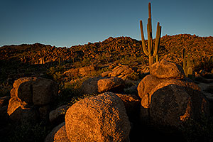 Four Peaks, Arizona