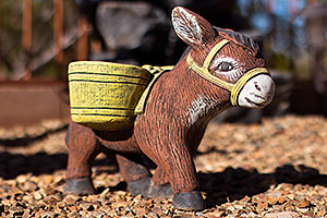 Donkey in Green Valley, Arizona