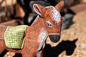 Donkey in Green Valley, Arizona