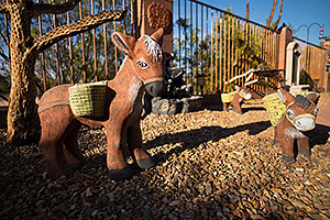 Donkeys in Green Valley, Arizona