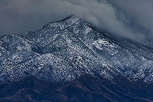 Snowy day at Santa Rita Mountains