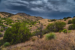 Evening in high desert of Box Canyon