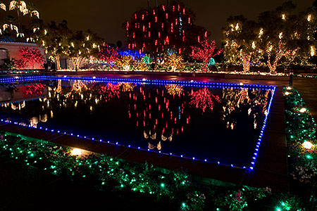 Mesa Temple Garden Christmas Lights Display 