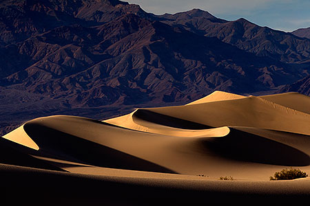 Mesquite Sand Dunes in Death Valley 
