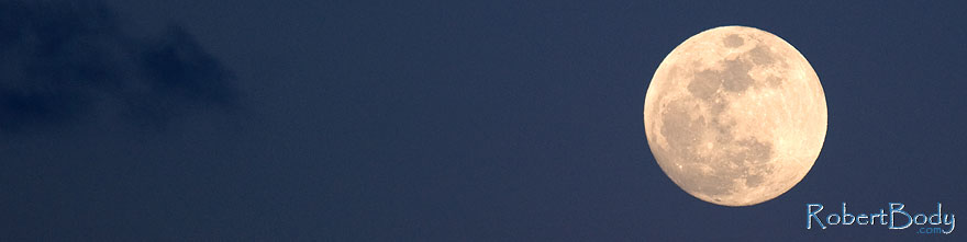 /images/500/2009-02-08-riparian-moon-91395sp.jpg - #07168: Moon over Riparian Preserve … February 2009 -- Riparian Preserve, Gilbert, Arizona
