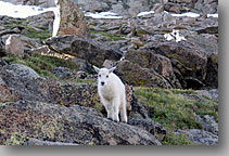 Mt Evans, Colorado