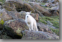 Mt Evans, Colorado