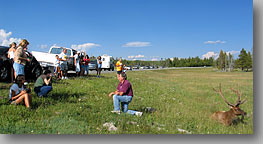 July 23, 2004 ... Yellowstone National Park, Wyoming