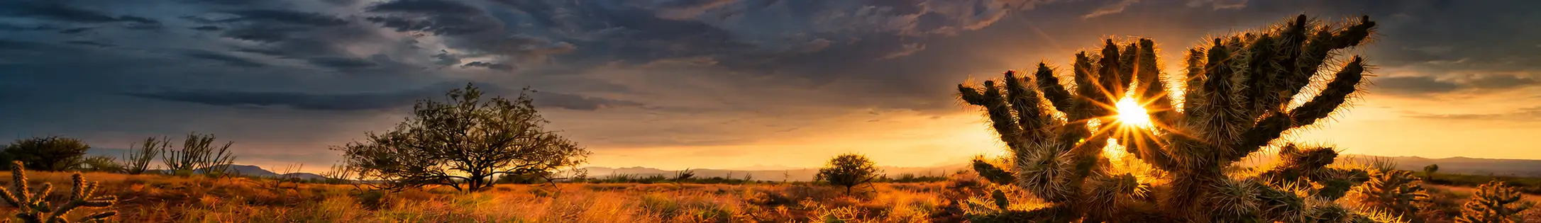 Robert Body Landscape Photography
