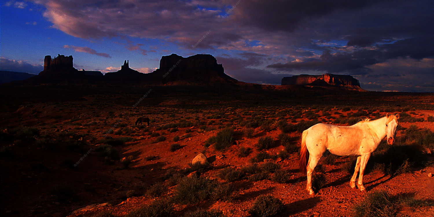 2000-09-monvalley-horse-pano