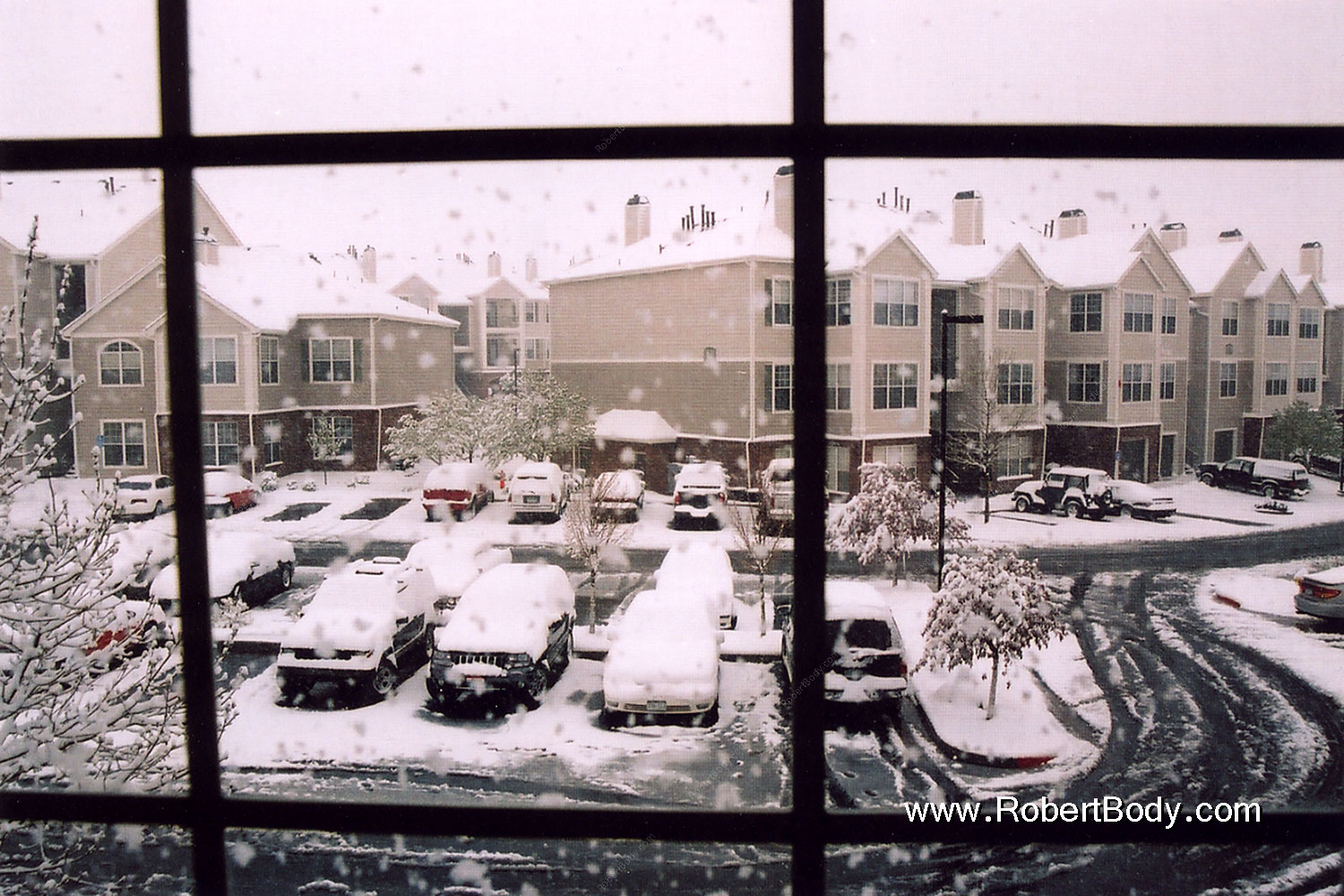 2004-04-rosemont-view