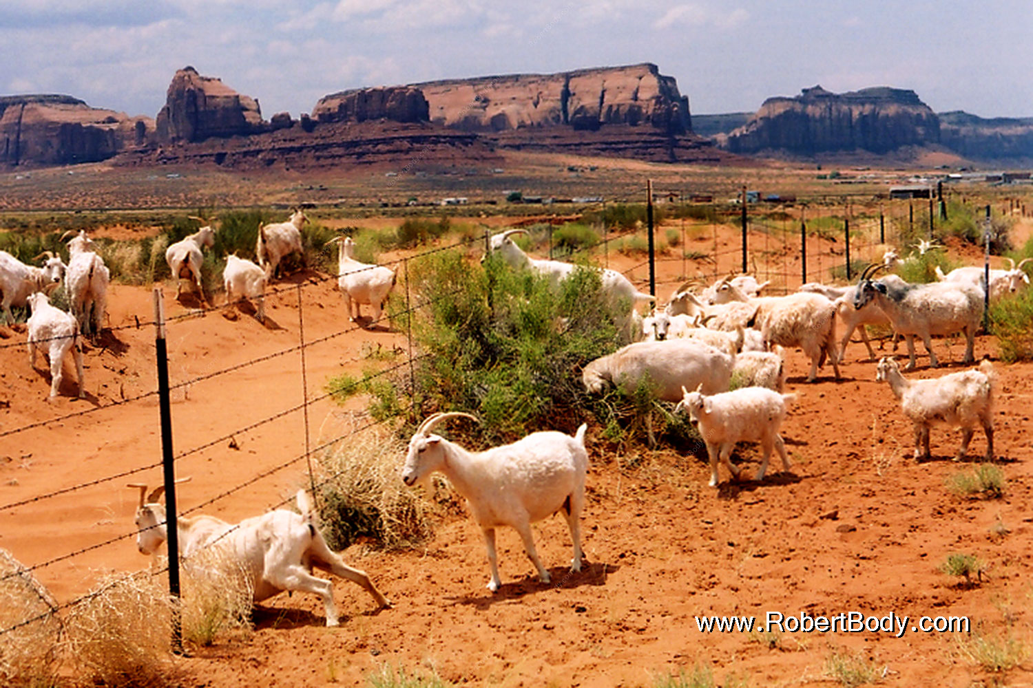 2004-07-monvalley-2
