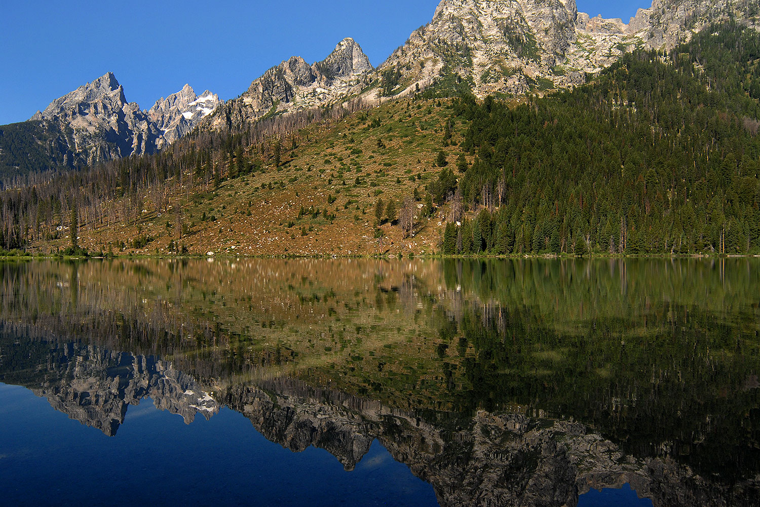 2007-07-24-tetons-string02
