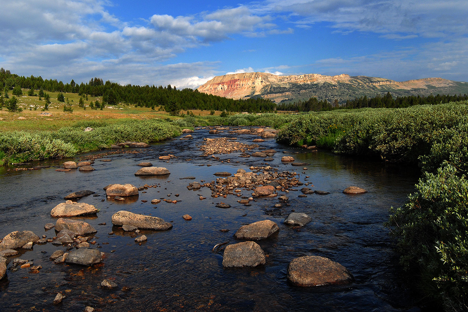 2007-07-26-mt-bear-creek01