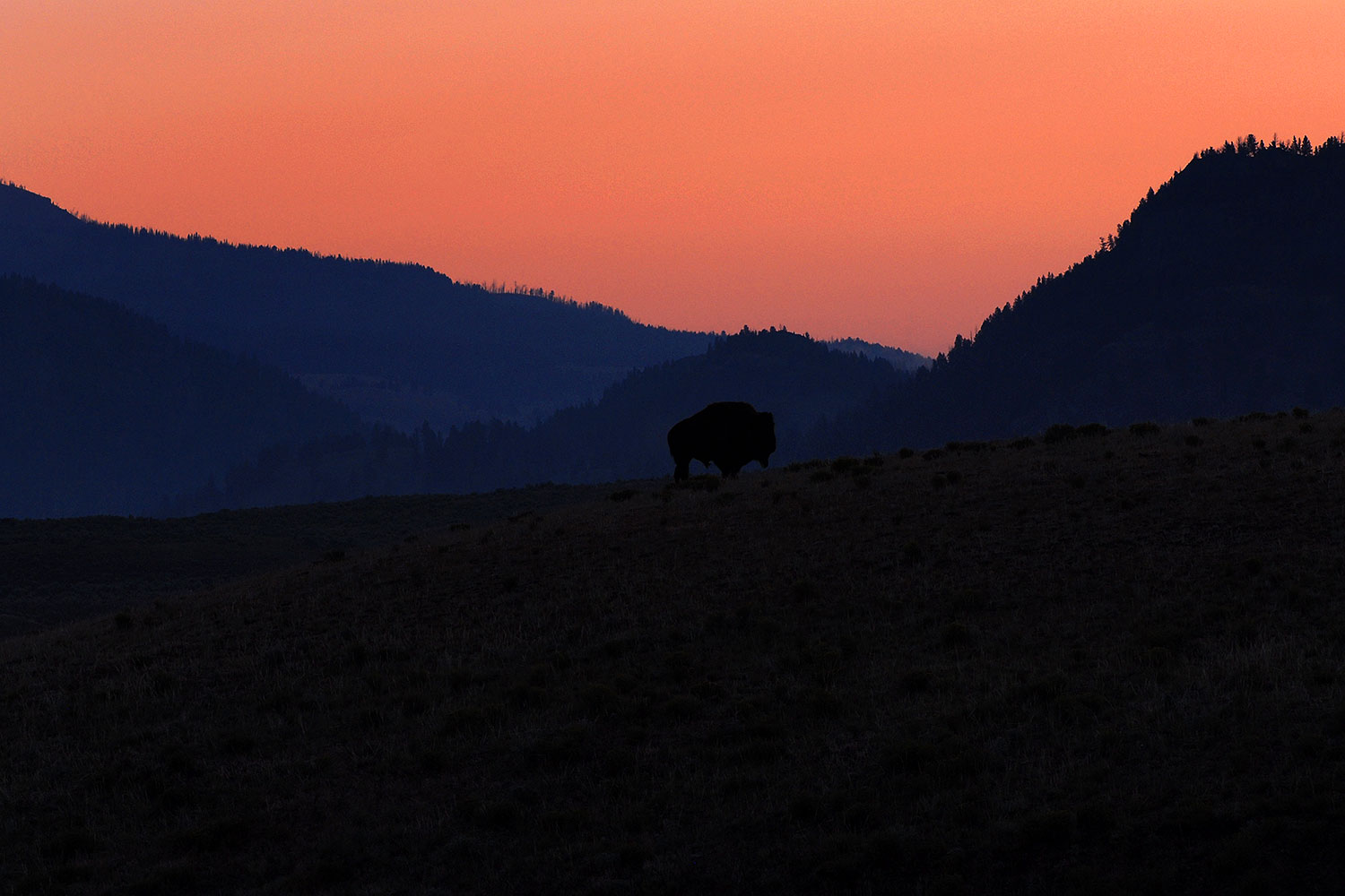 2007-07-28-y-morn-4333