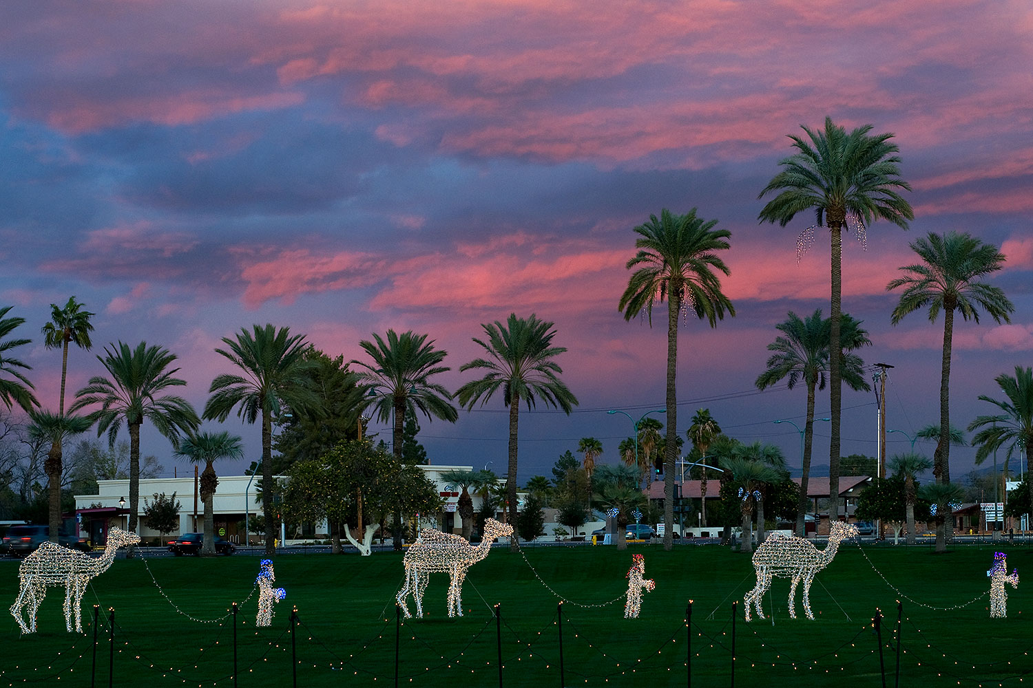 2008-12-26-mesa-temple-caravan-67808