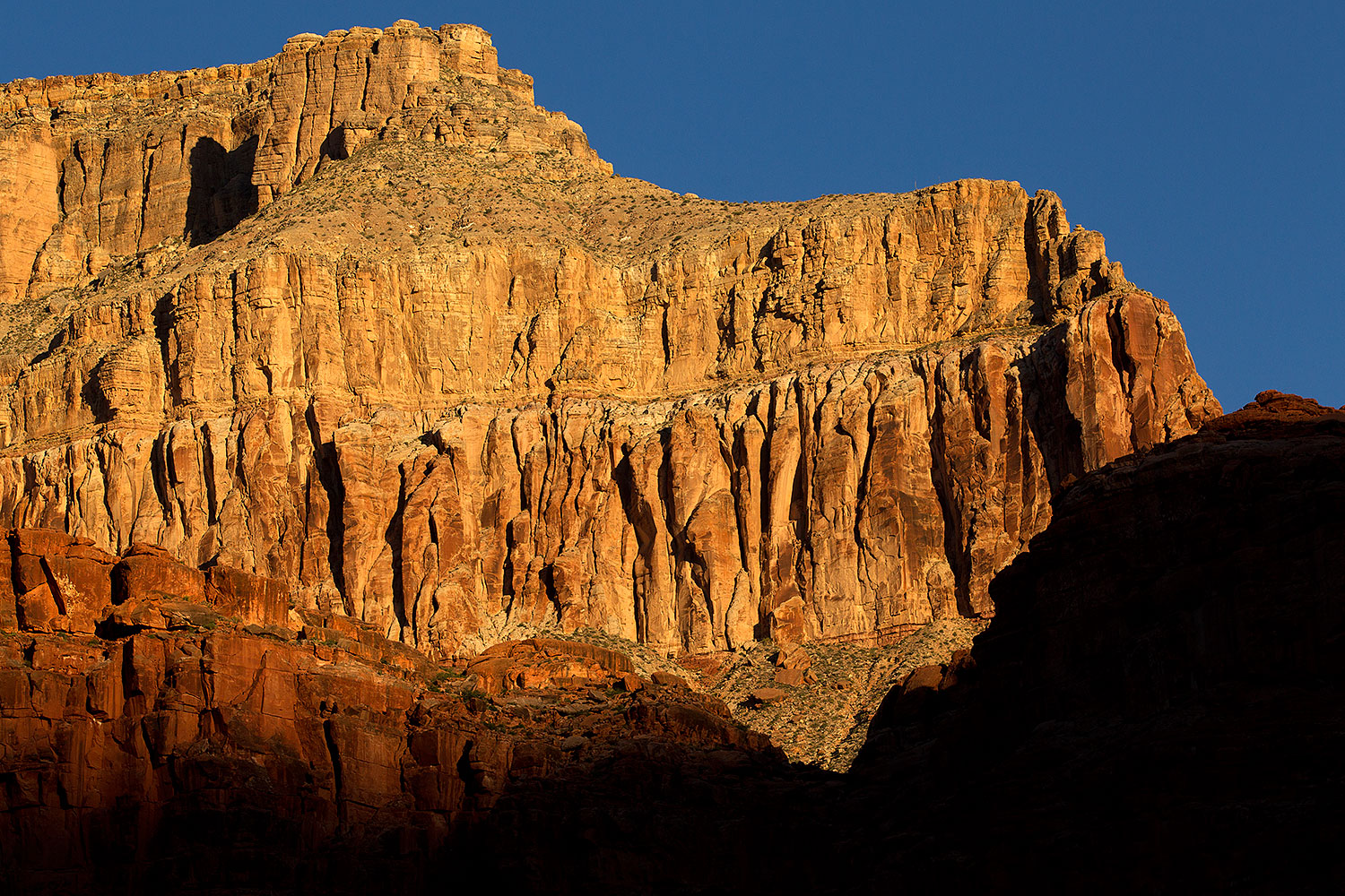 2010-06-21-havasu-faces-7406