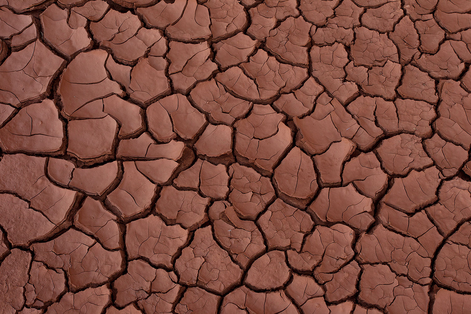 2010-09-03-monvalley-crusty-29628