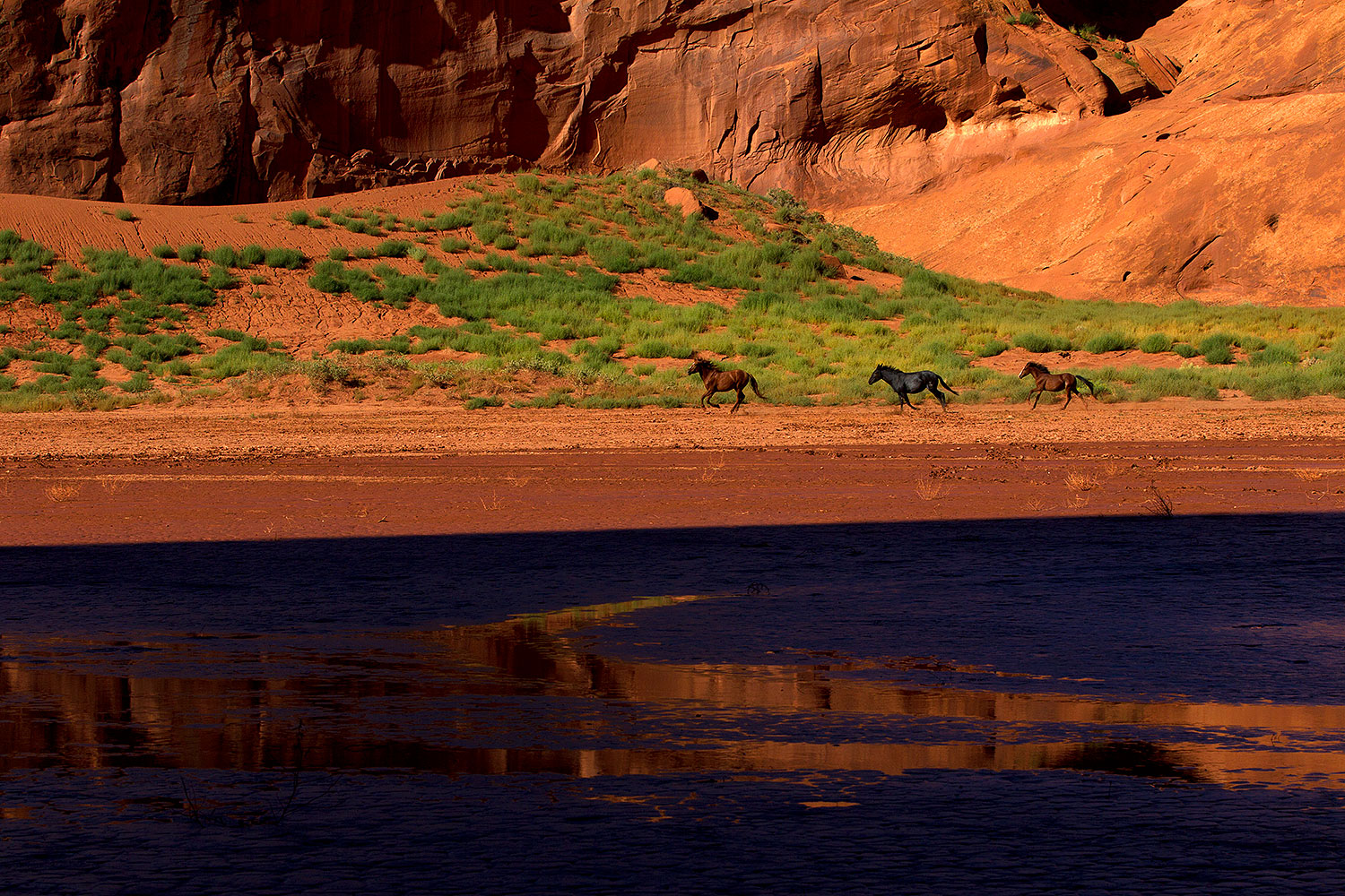 2010-09-03-monvalley-horses-29750