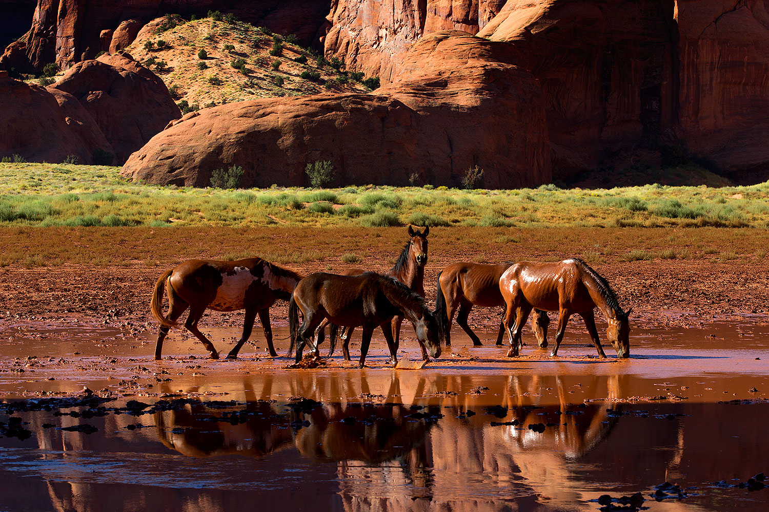 2010-09-03-monvalley-horses-29939