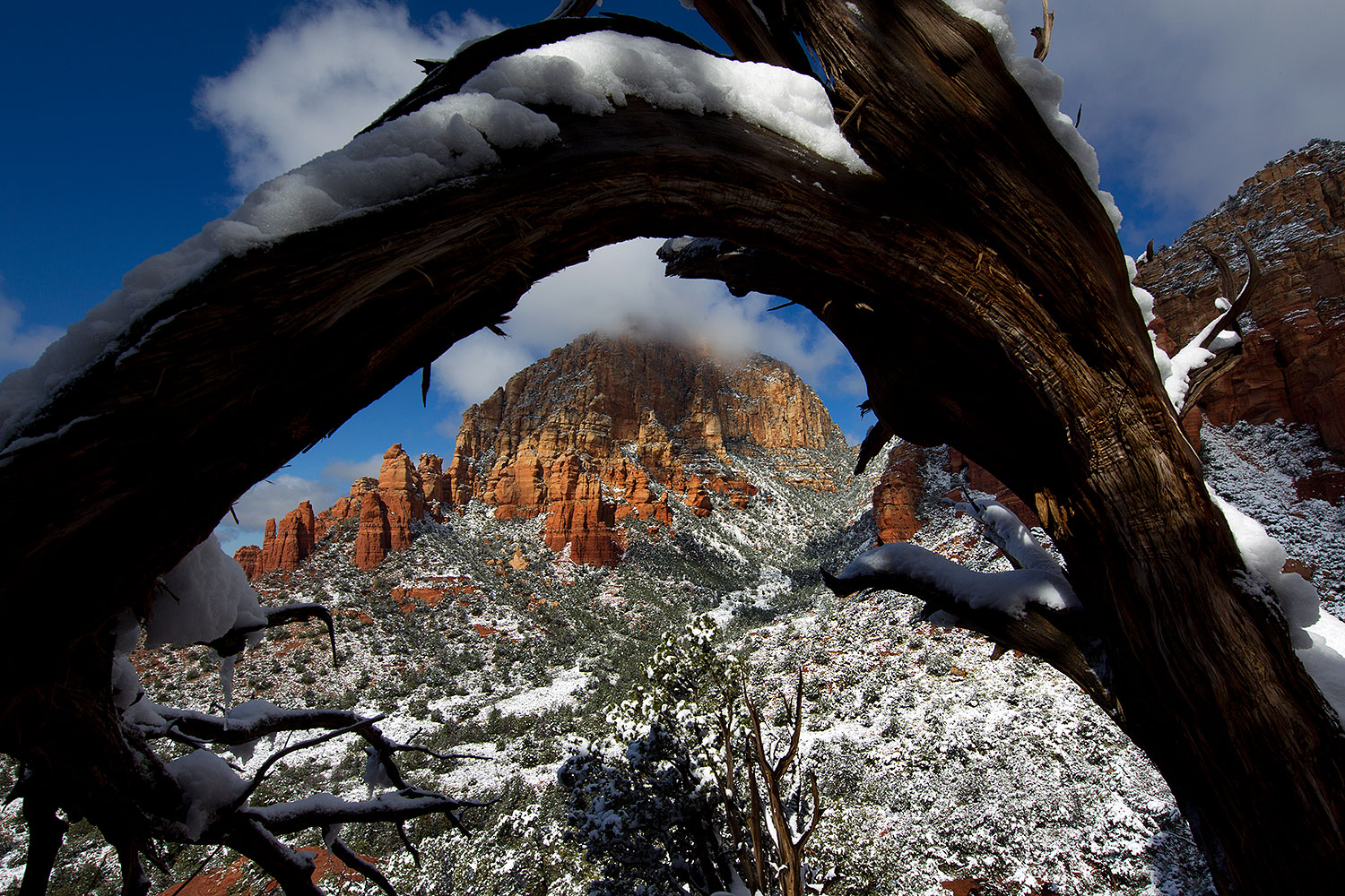 2011-04-10-sedona-coffeepot-66333
