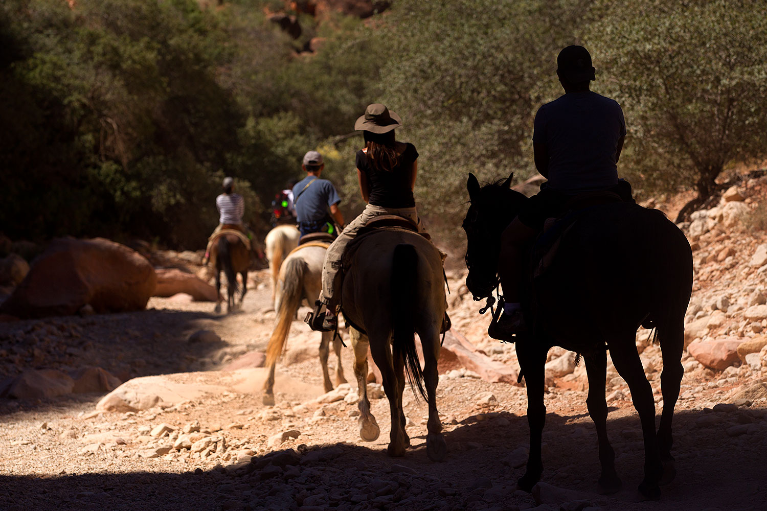 2011-06-27-hava-canyon-riders-80998