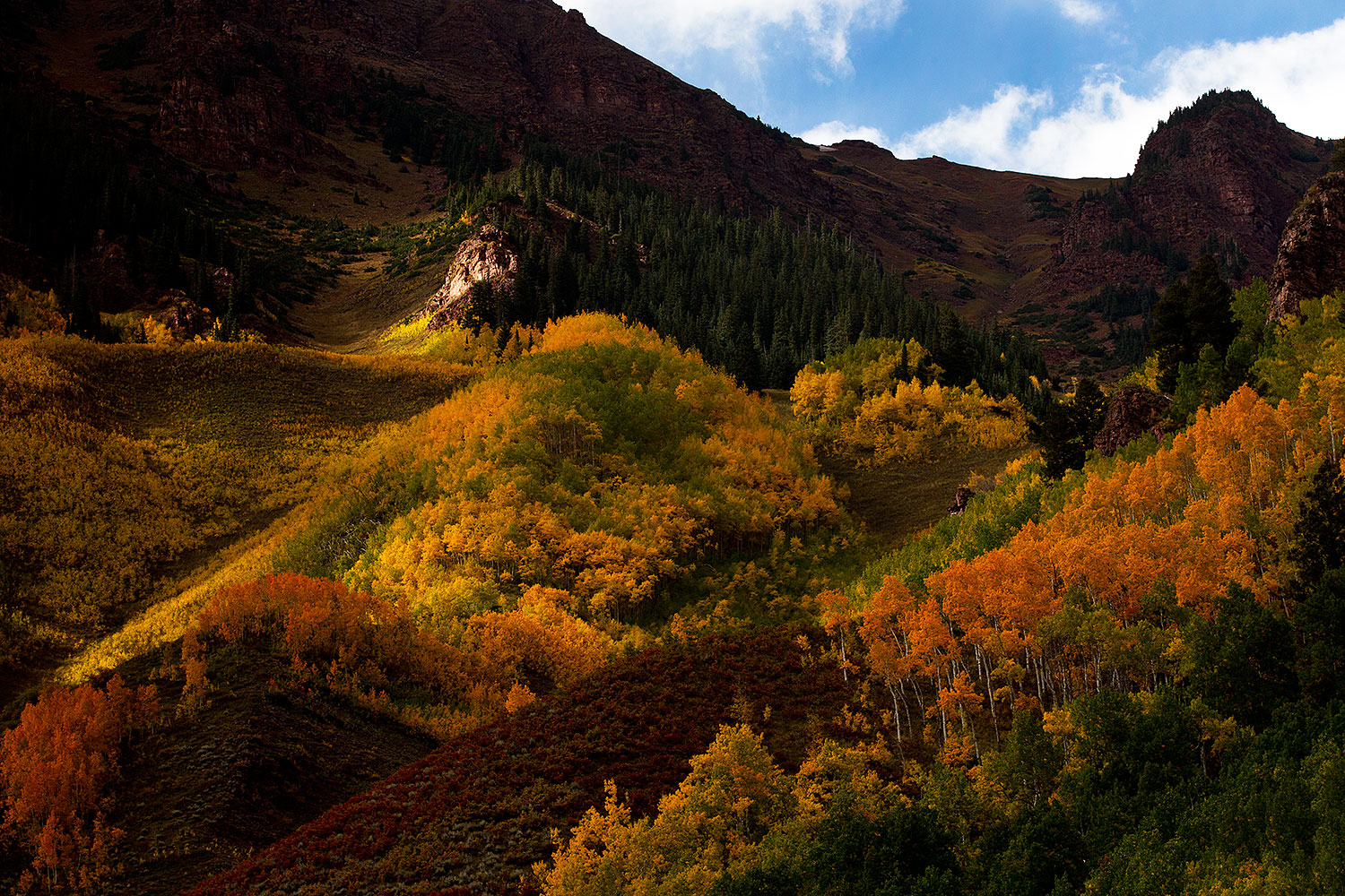 2011-09-30-maroon-evening-trees-102537