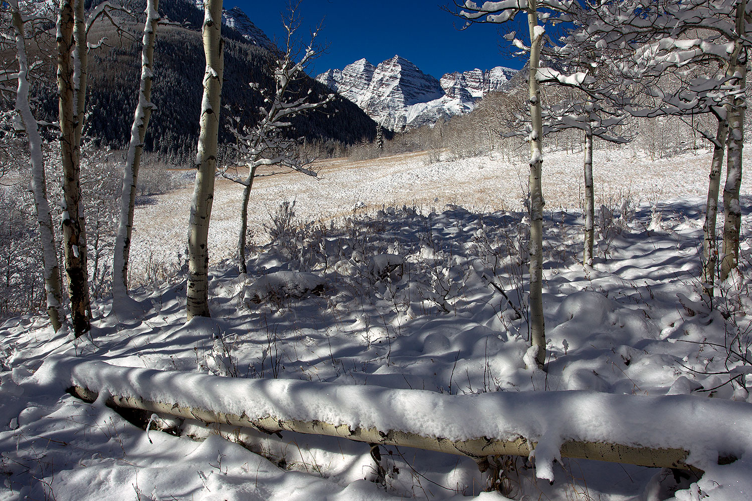 2011-10-27-maroon-snowy-log-109432