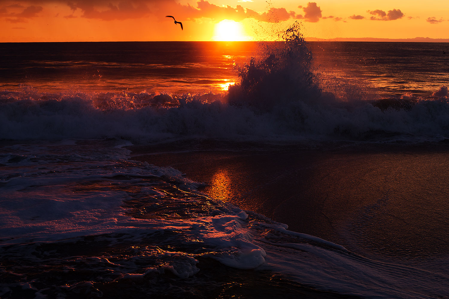 2012-12-30-ca-aliso-sunset-14727
