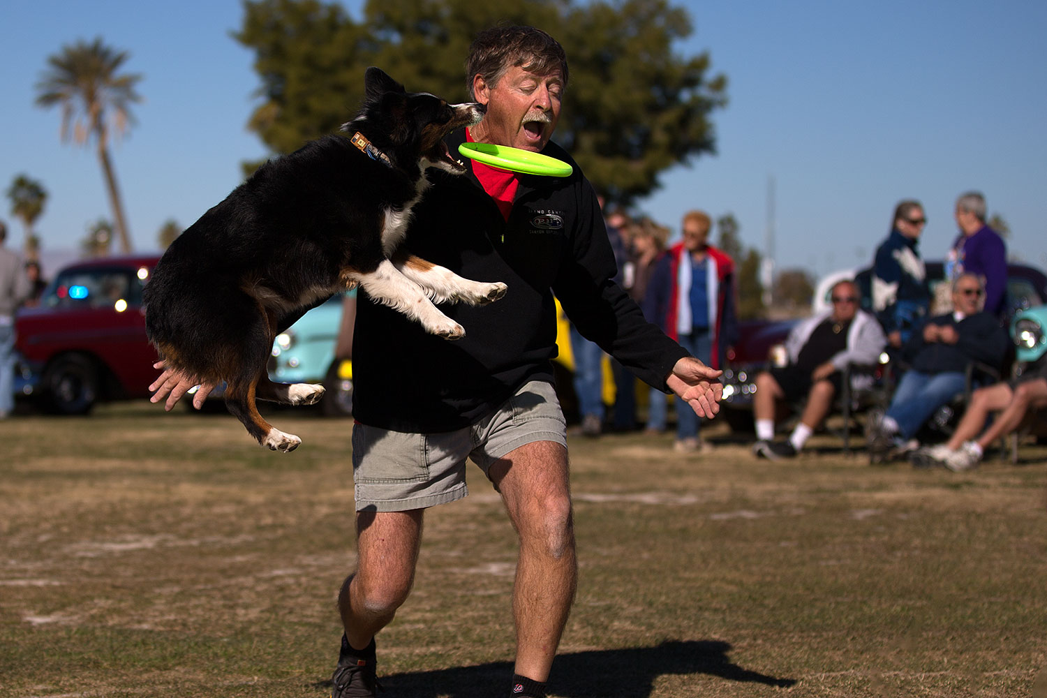 2013-01-18-havasu-balloons-dogs-20287