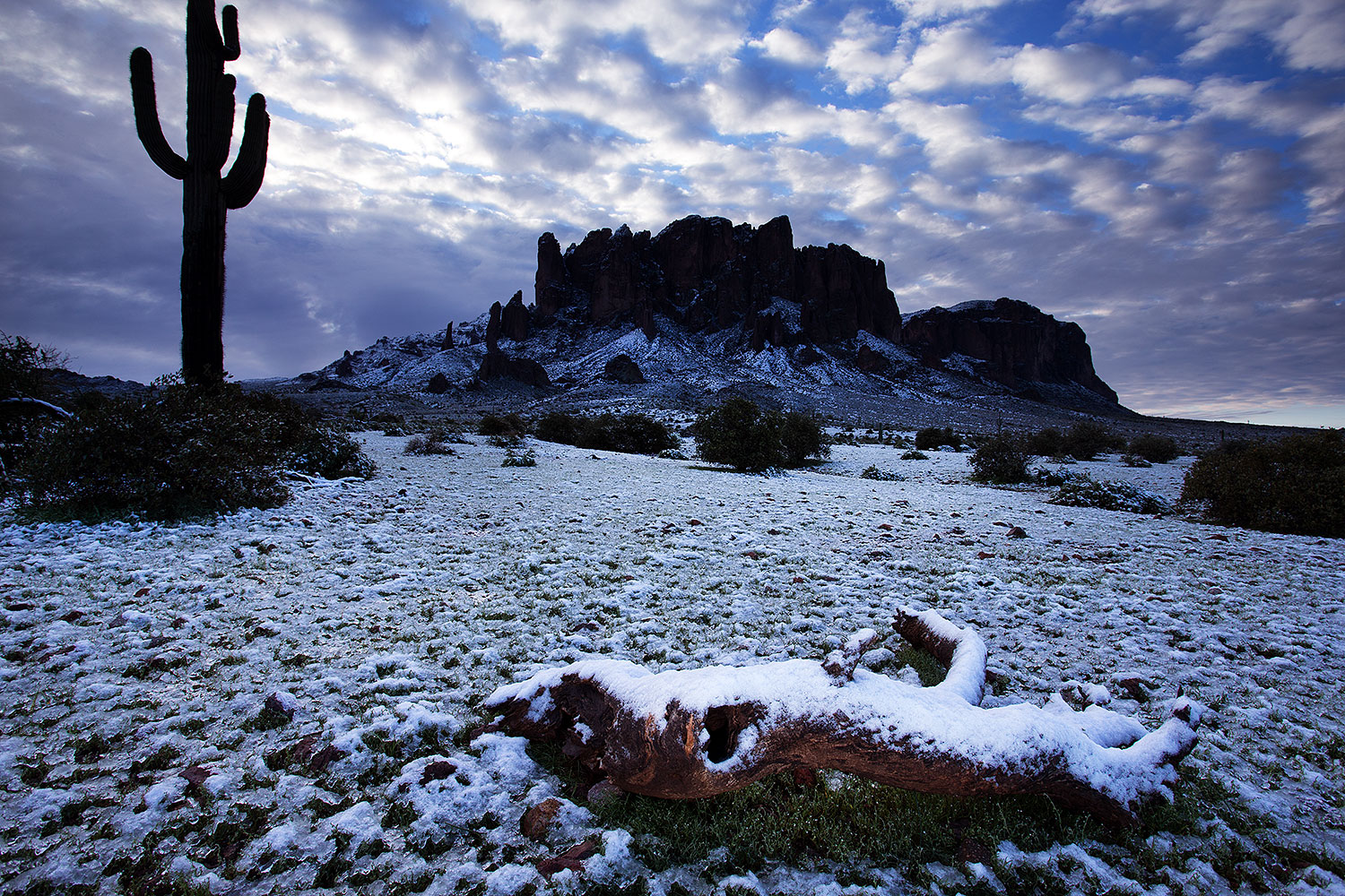 2013-02-21-supers-log-snow-26555