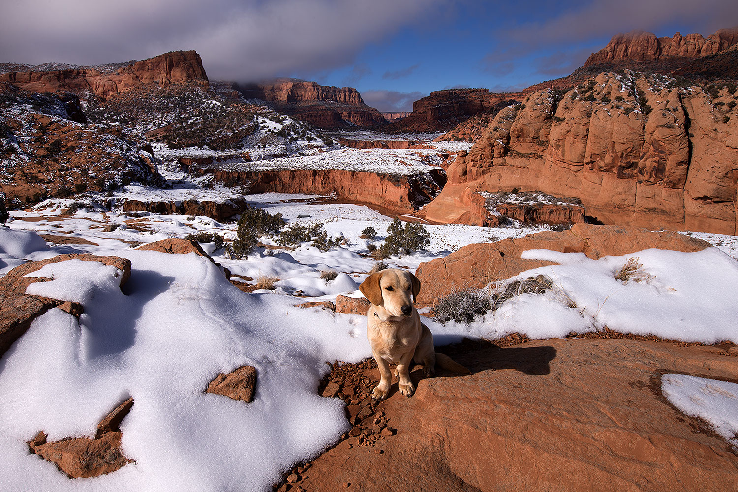 2013-12-02-tsegi-annie-1dx_8576