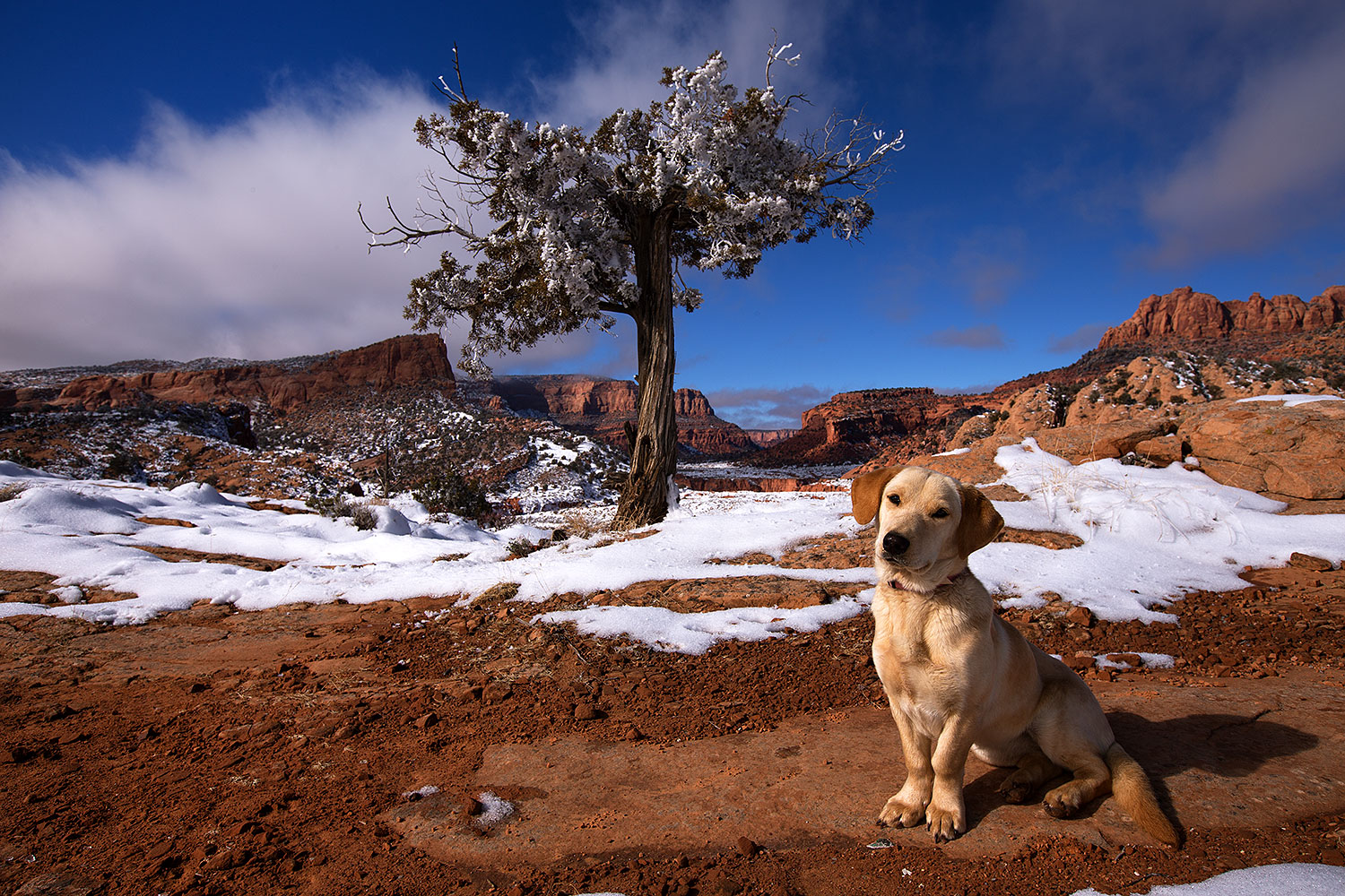 2013-12-02-tsegi-annie-1dx_8621