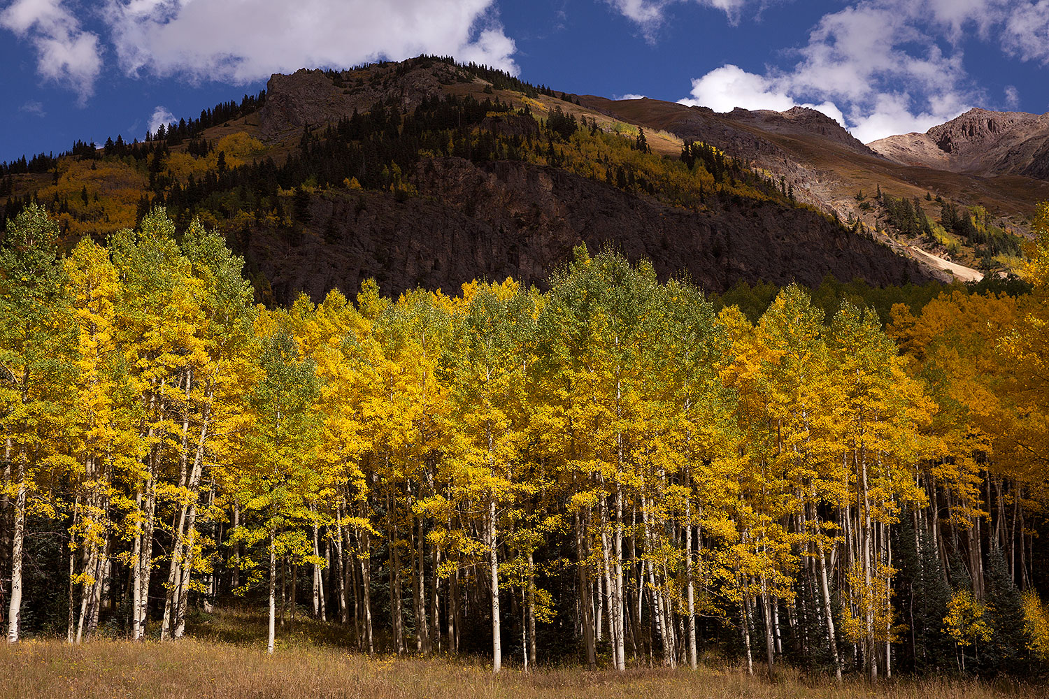 2015-09-19-red-mountain-5d3_0956