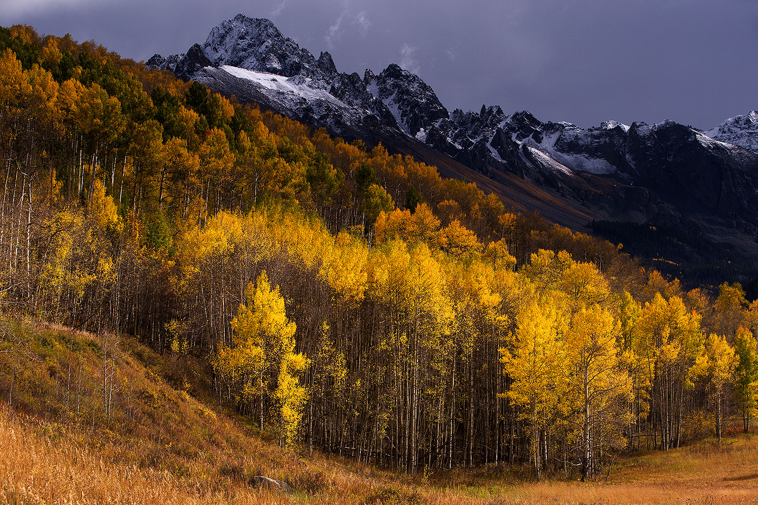 2015-10-07-sneffels-yel-6d_3274