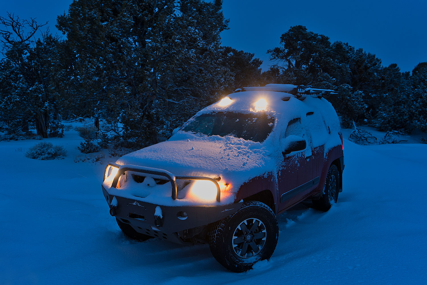 2019-01-06-gc-xterra-ton1-a7r3_6228