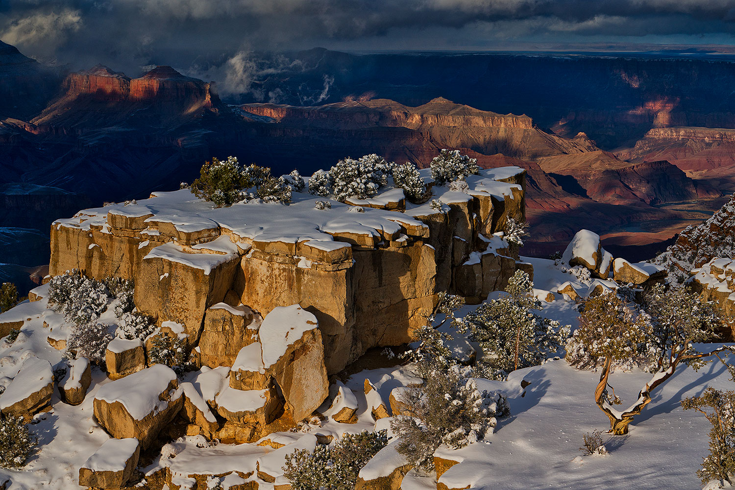 2019-01-06-grand-sunny-ton1-6-a7r3_6995