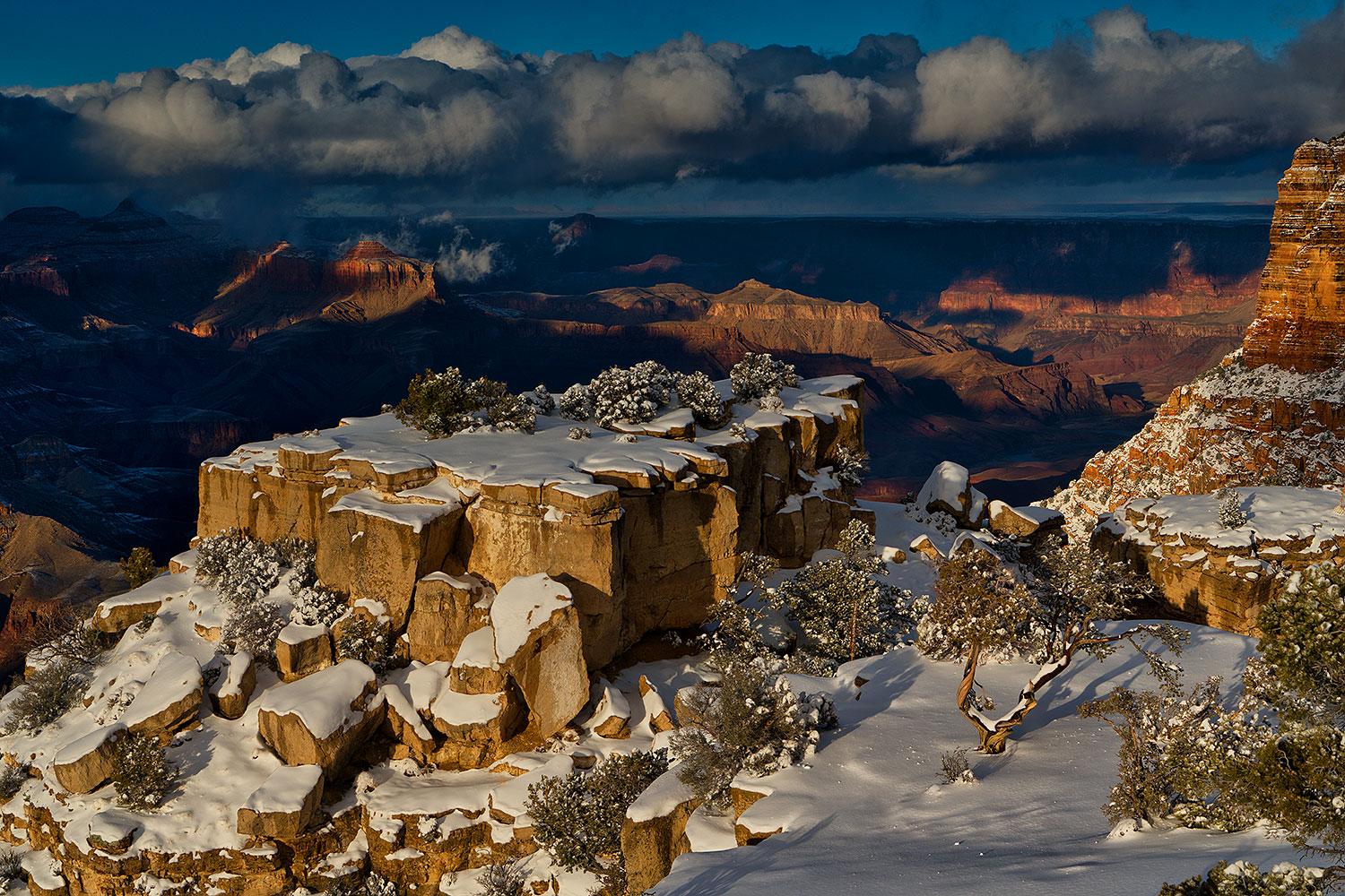 2019-01-06-grand-sunny-ton1-7to9-a7r3_7056
