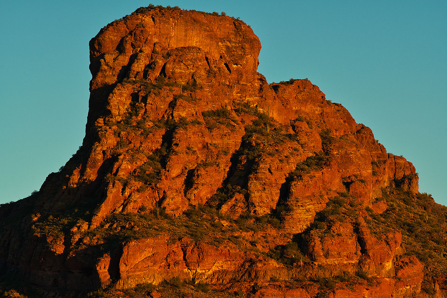 2019-01-23-red-rock-viv1-a7r3_11165
