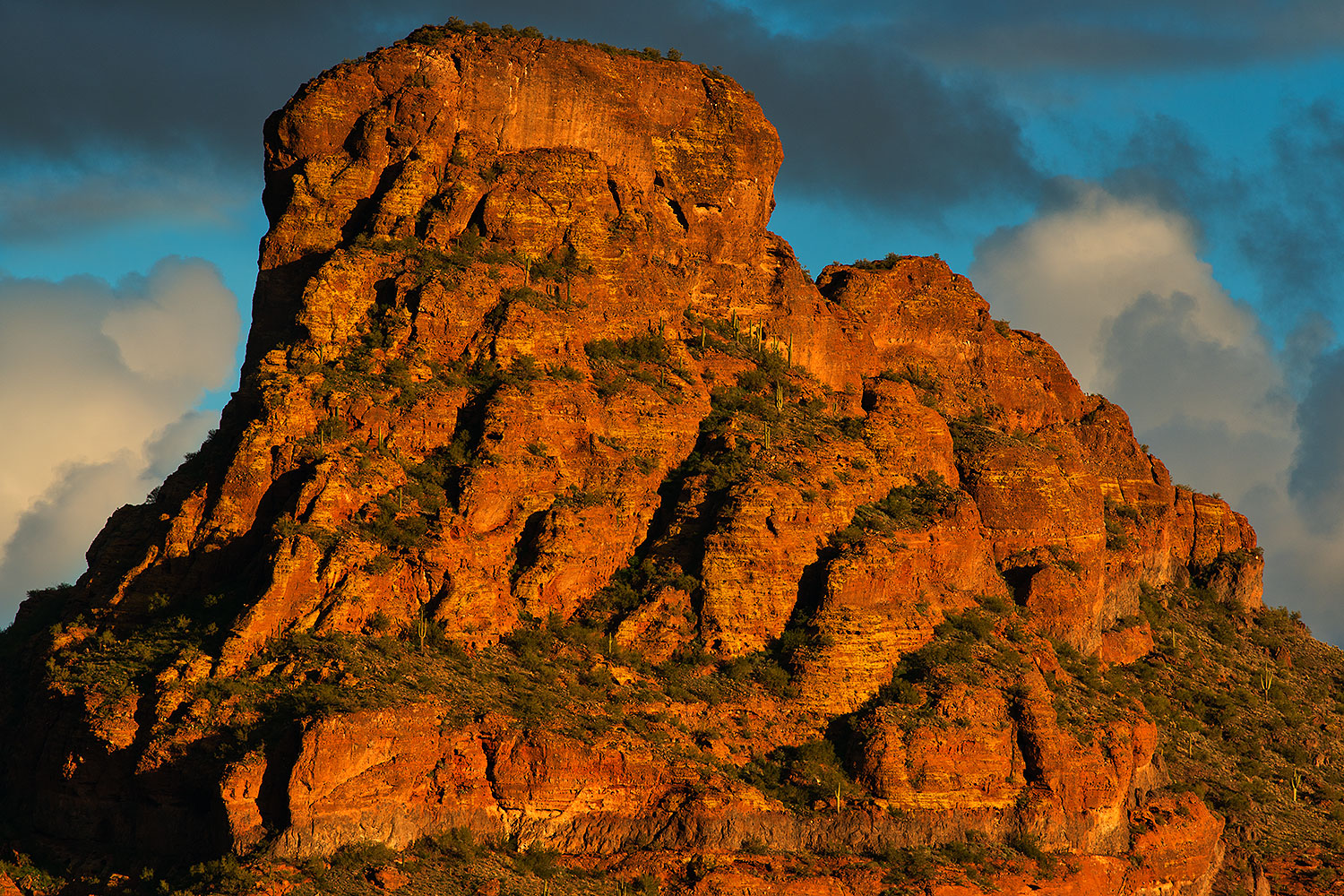 2019-02-05-red-mtn-viv1-63-a7r3_11355