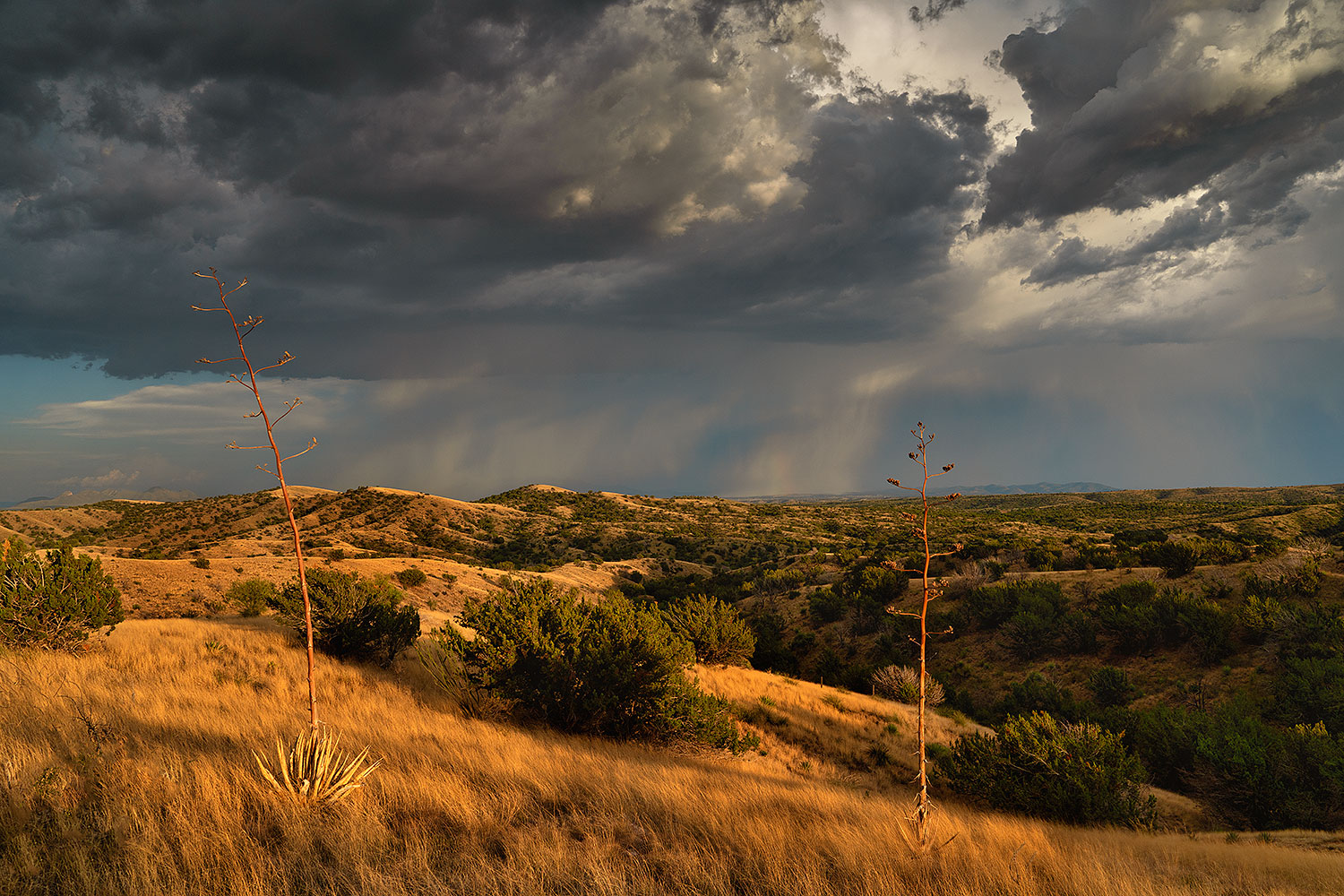 2020-07-31-box-canyon-9to5-a7r3_29758