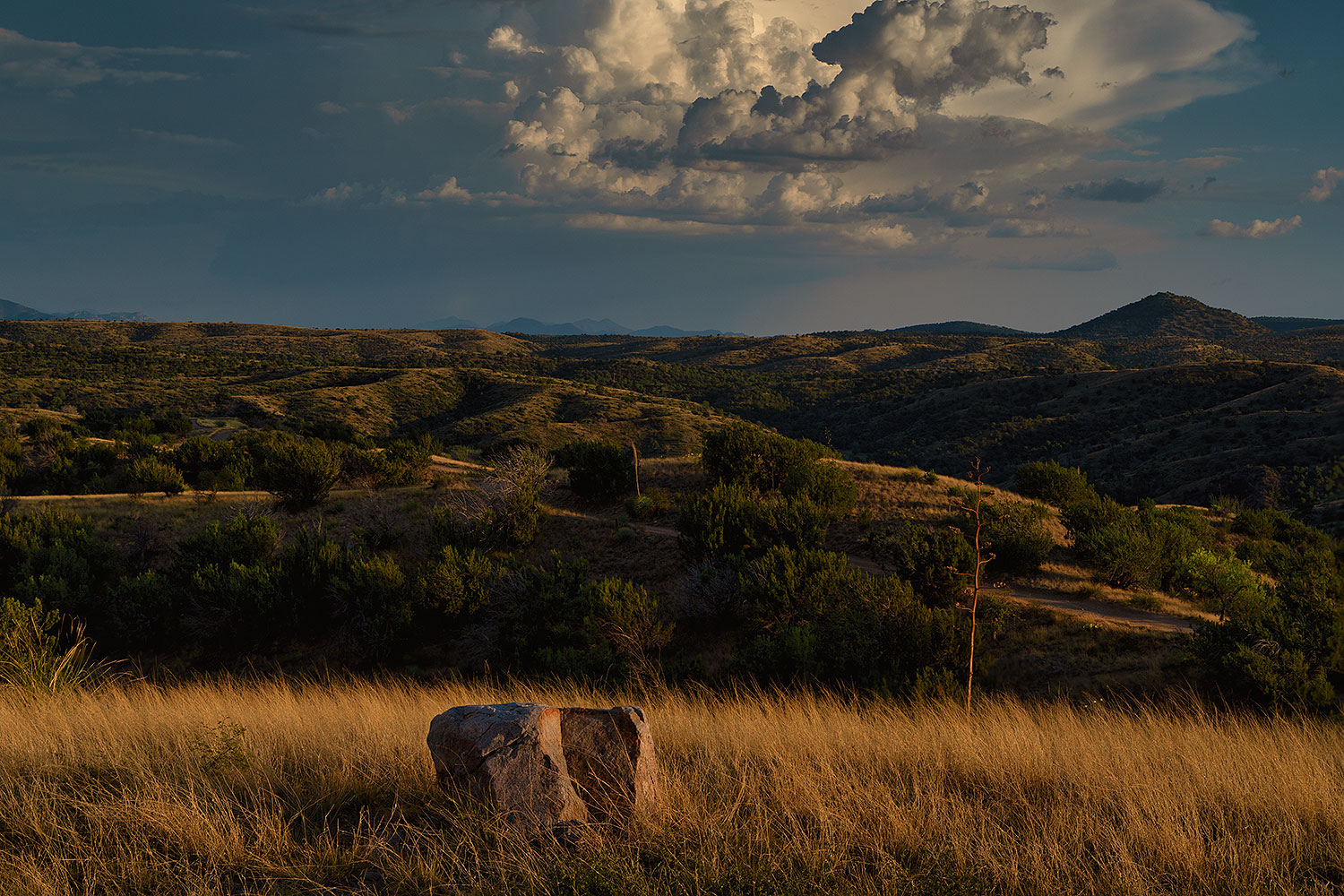 2020-08-01-box-view-2to7-a7r3_29871