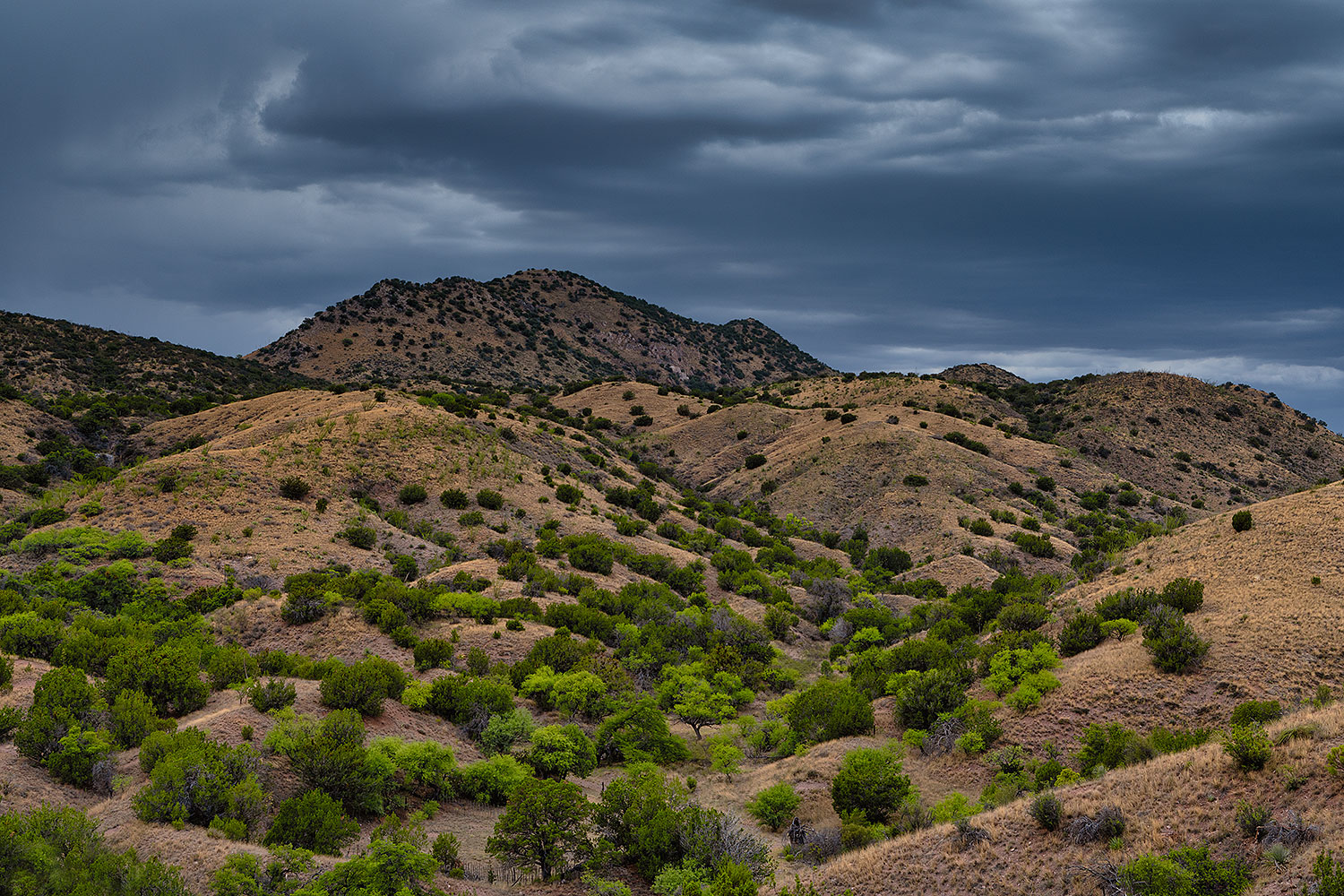 2020-08-13-box-rolling-hills-a7r3_30636