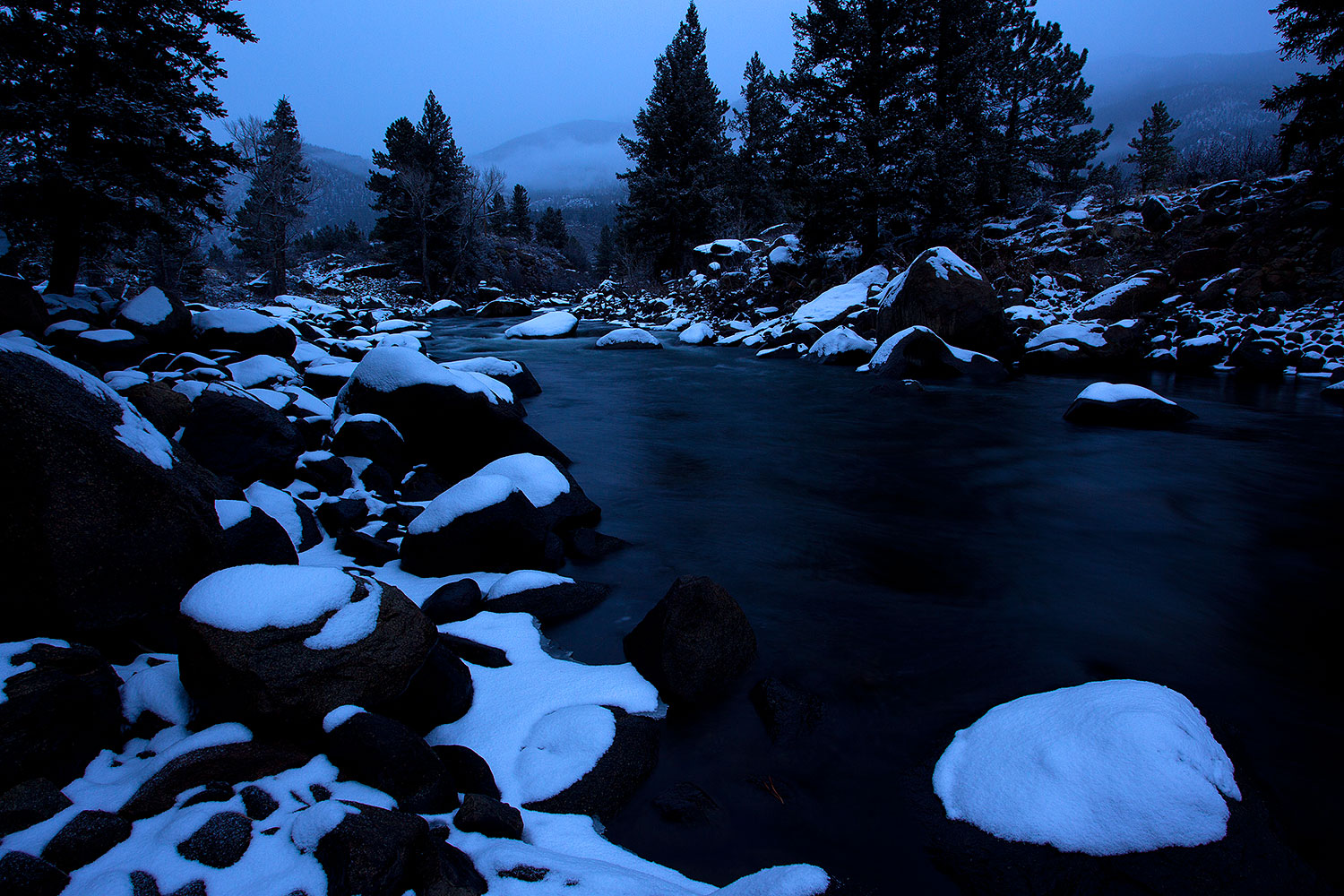 2010-12-19-buena-vista-47116