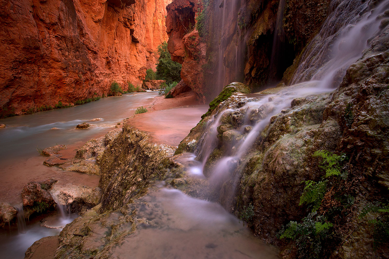 2011-06-25-havasu-mooney-small-79561