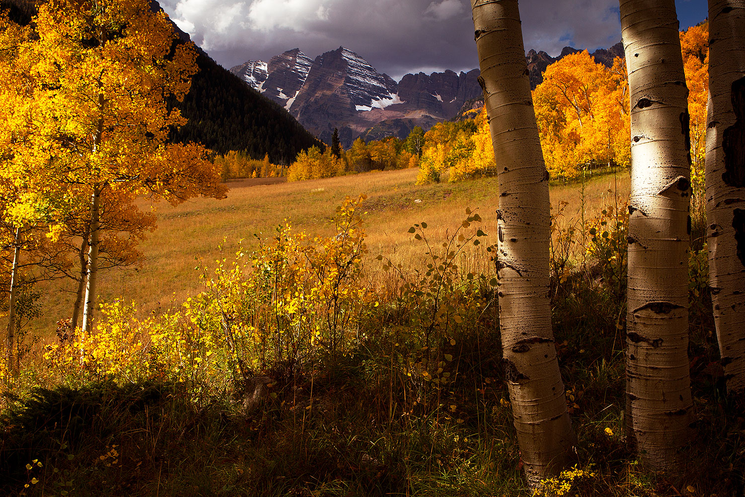 2011-10-01-maroon-trees-morn-103205