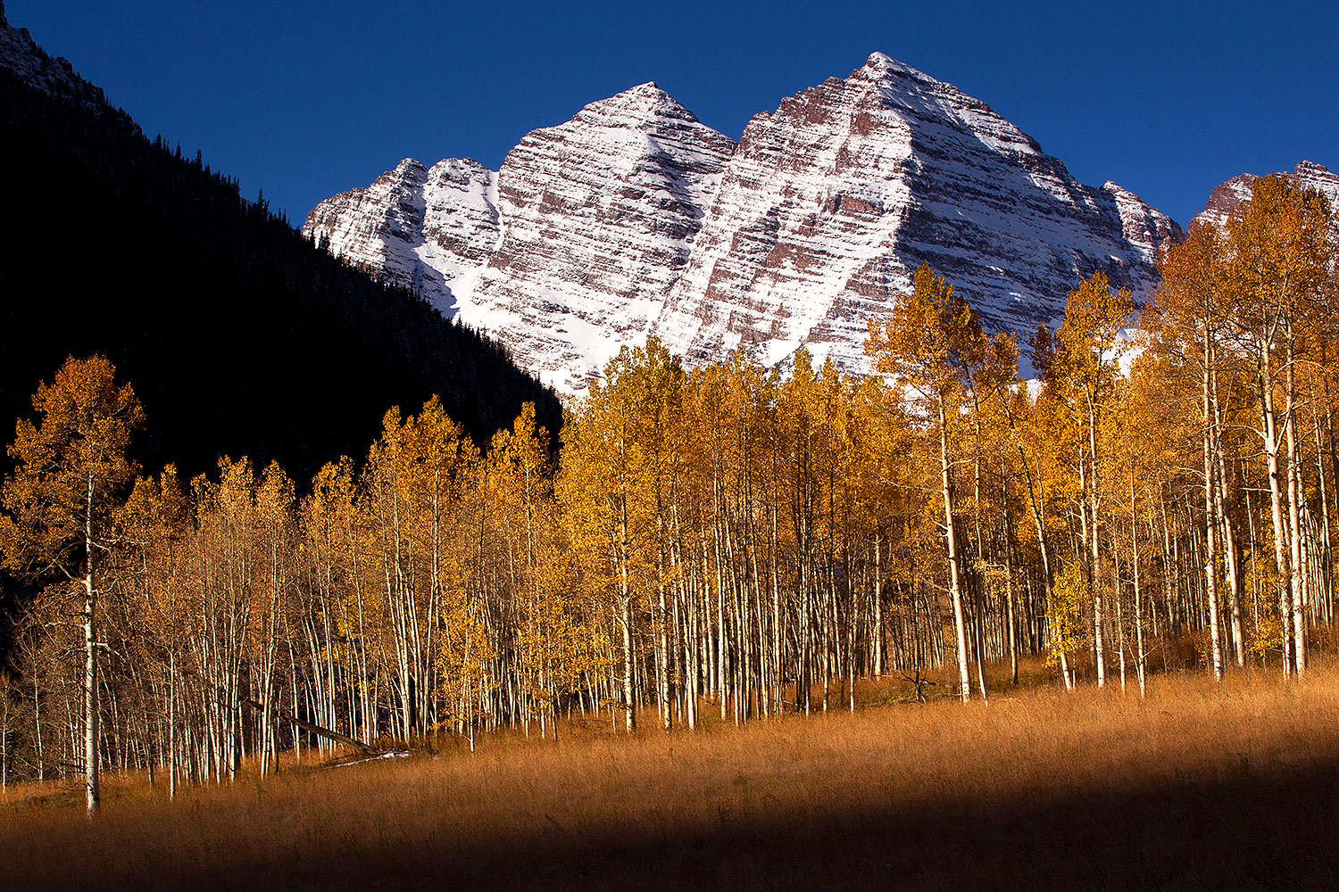 2011-10-09-maroon-trees-meadow-105757