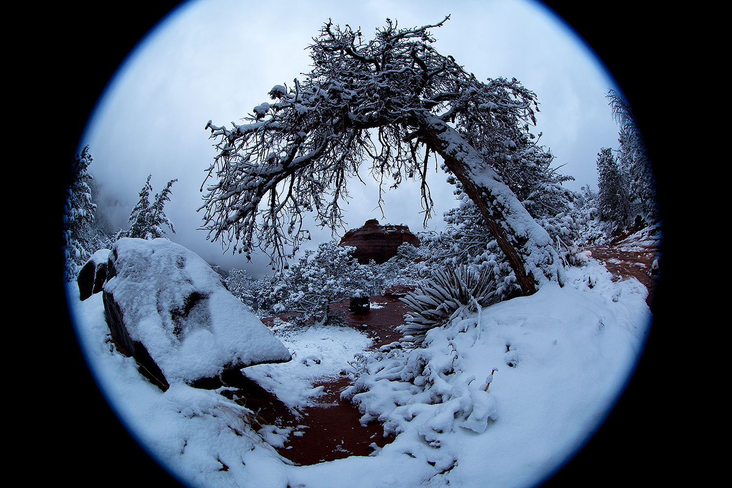 2012-04-14-sedona-snow-fishe-5d2_0310