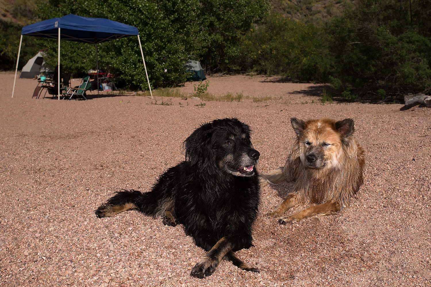 2013-04-27-apache-lake-boo-dud-37202
